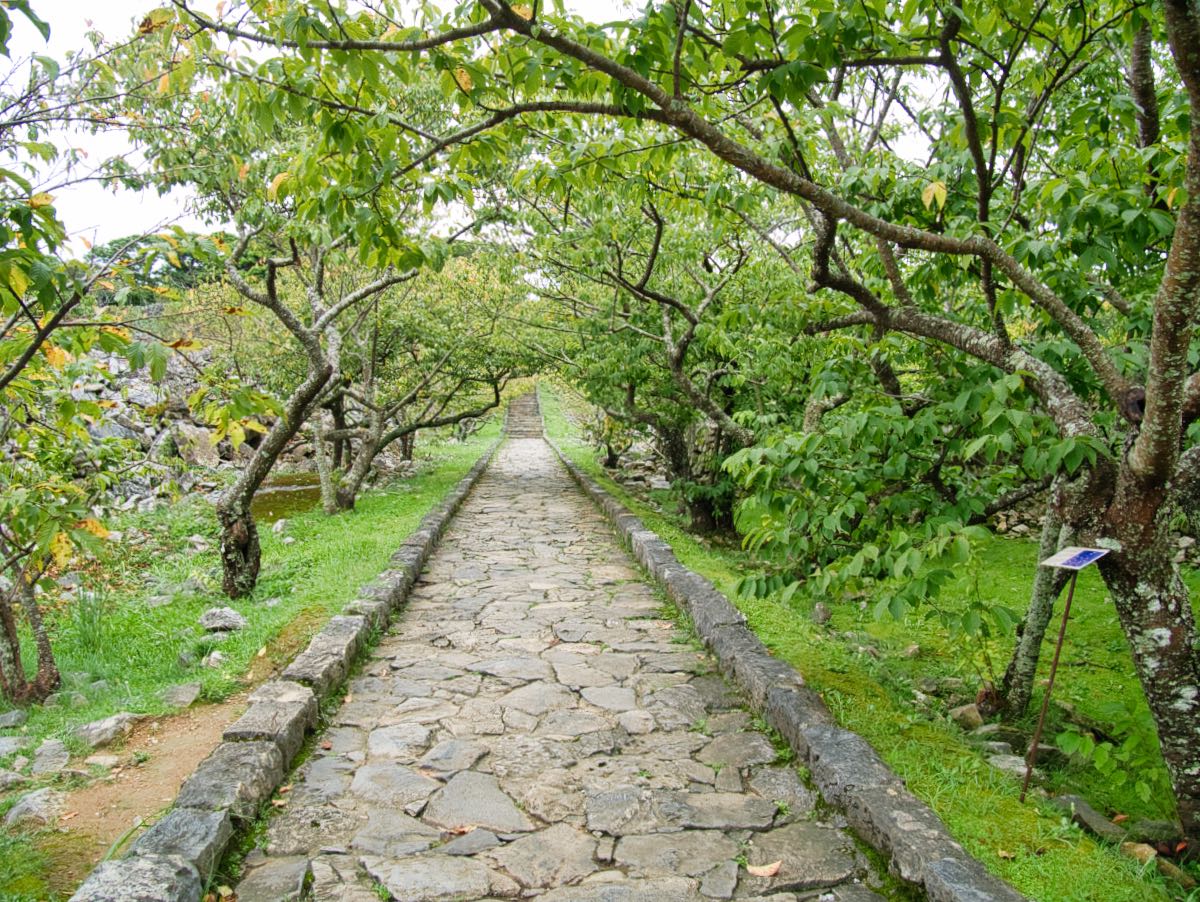 nakijin-castle