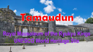 tamaudun-ai