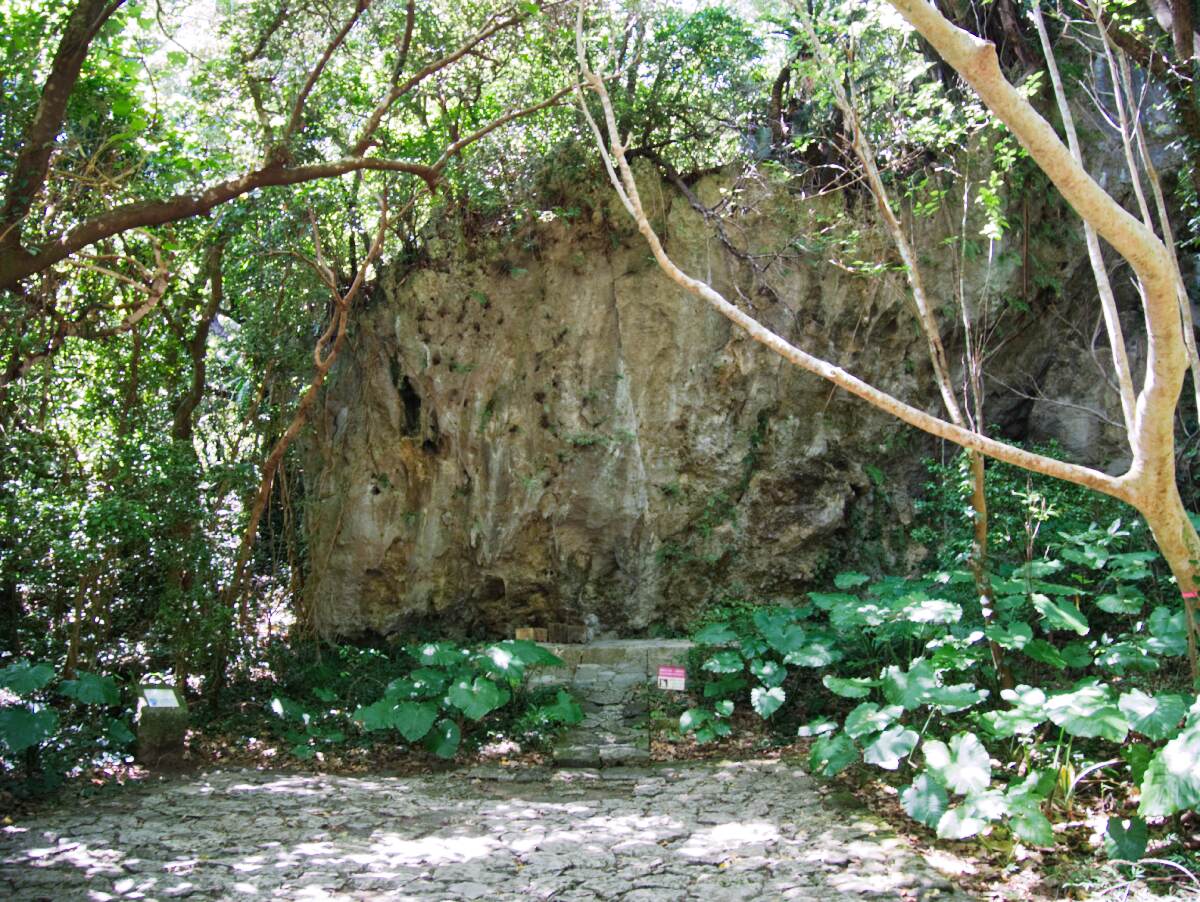 41ufugui