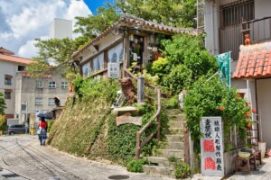 10-yachimun-dori-main