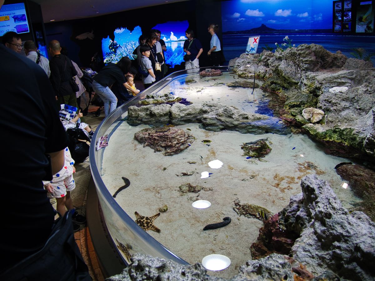 aquarium