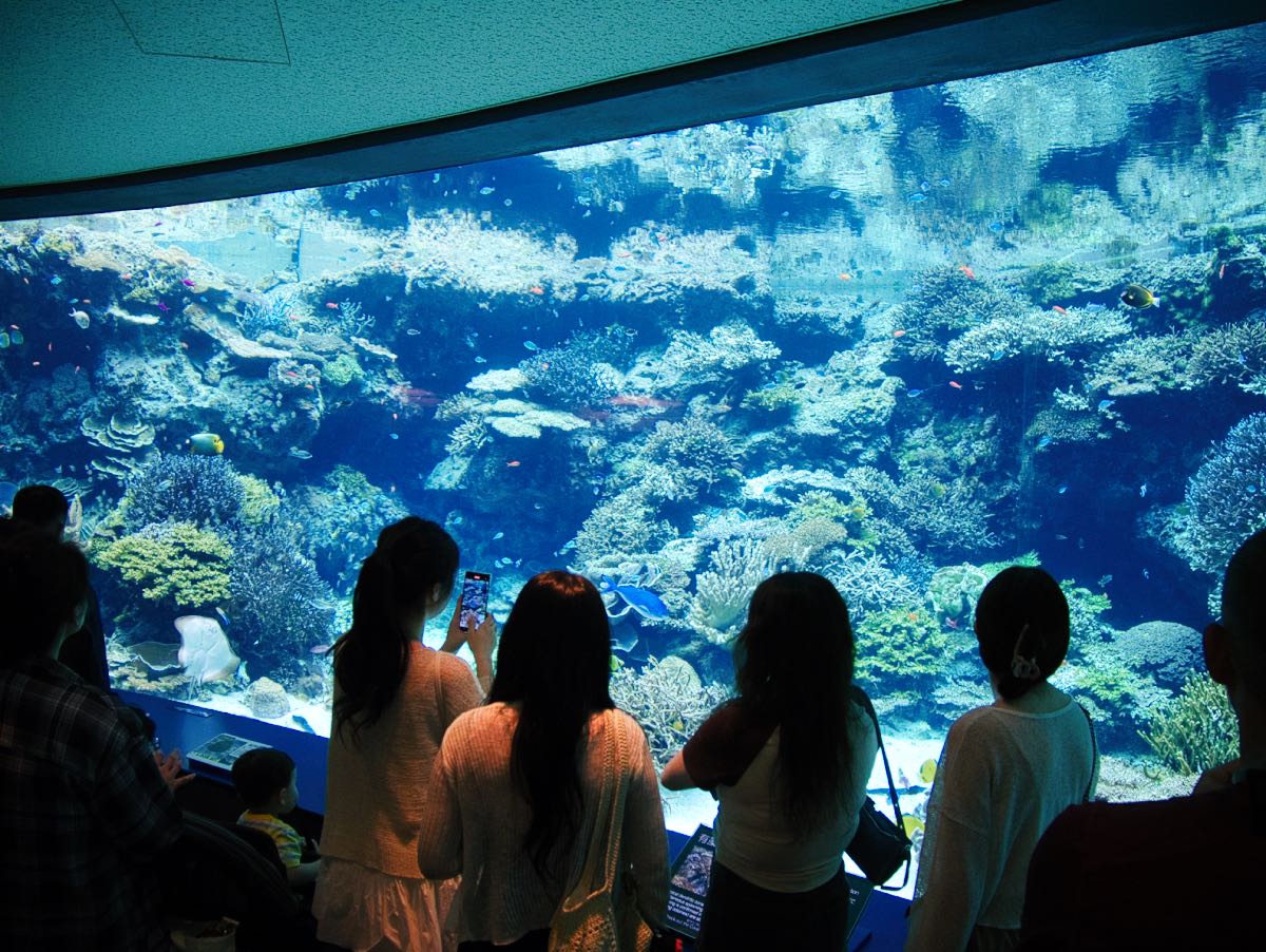 aquarium