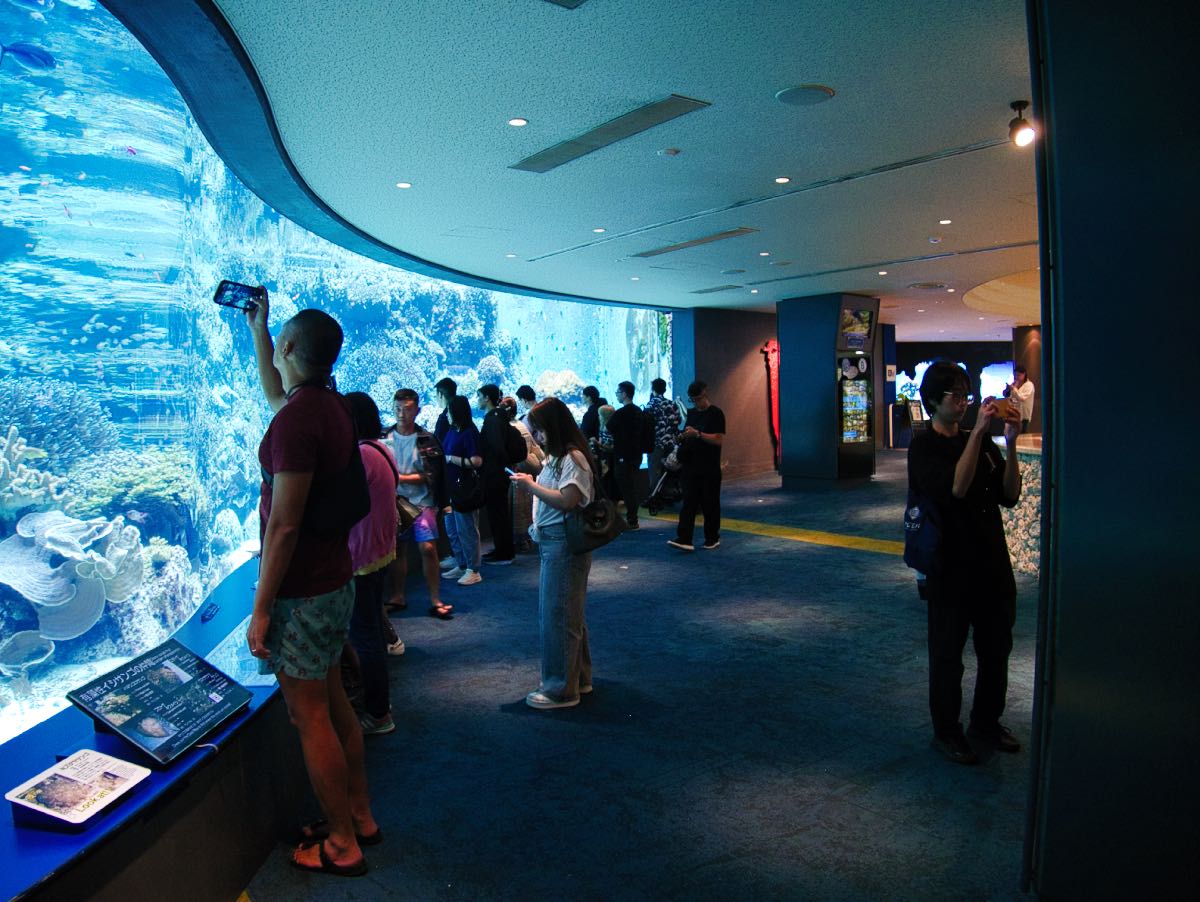 aquarium