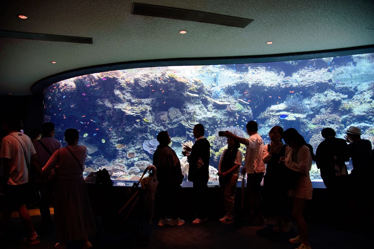 aquarium