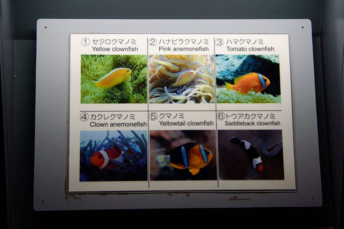 aquarium