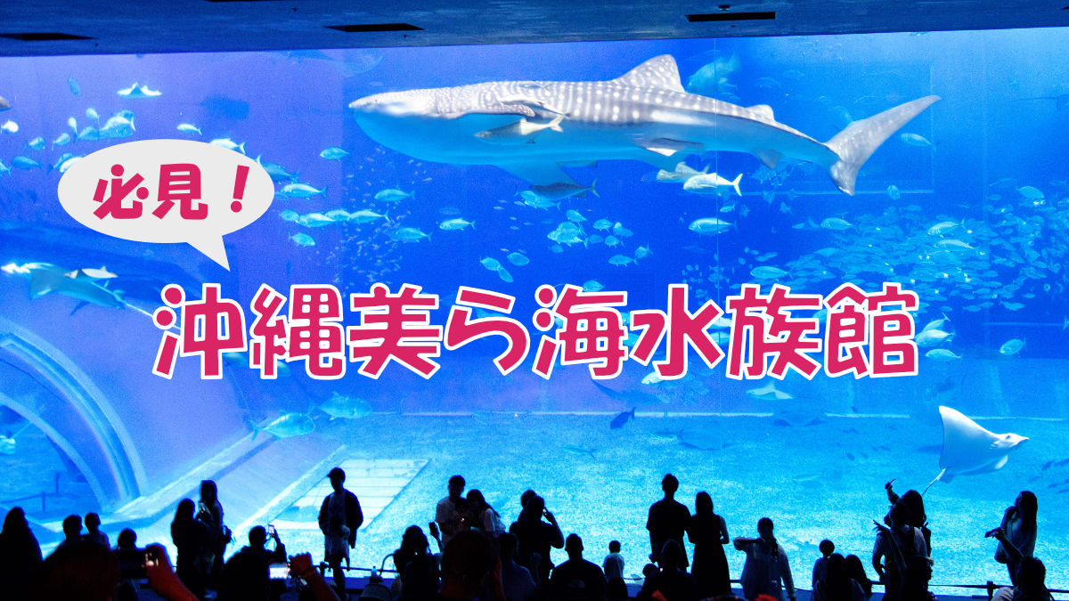churaumi-aquarium