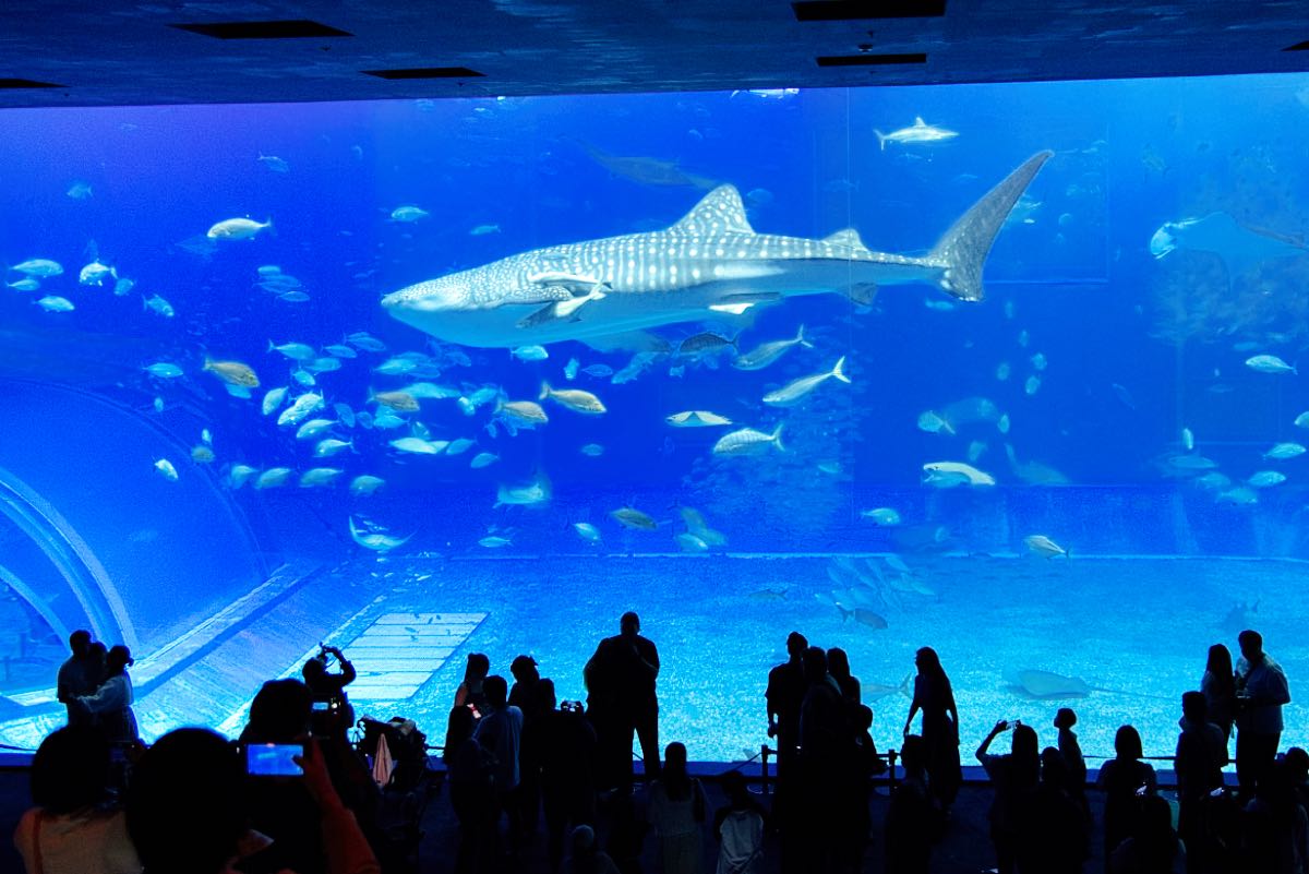 aquarium