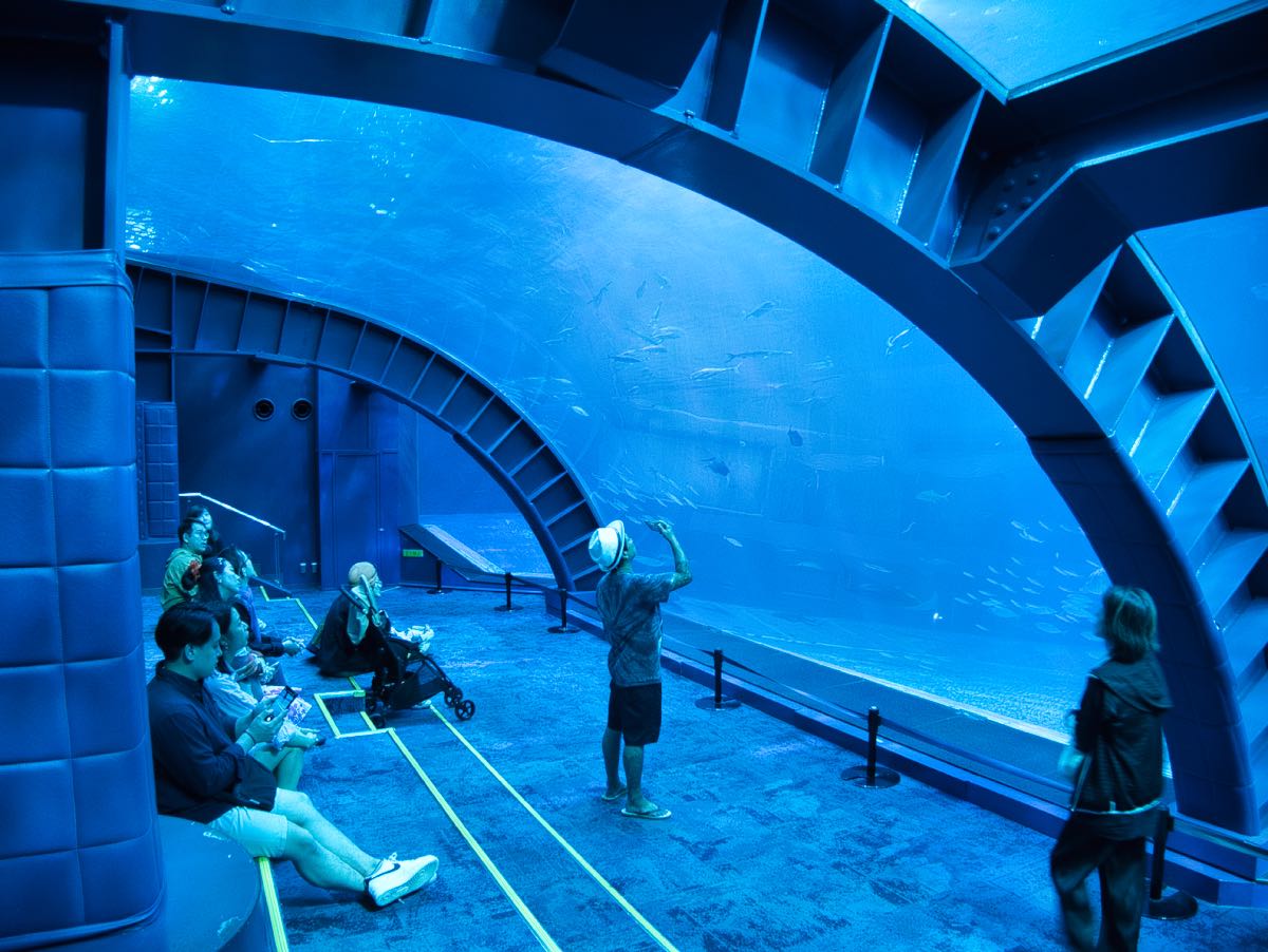 aquarium