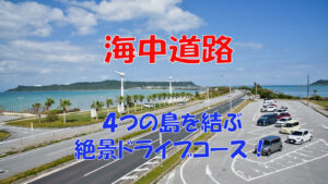 kaichu-road-ai