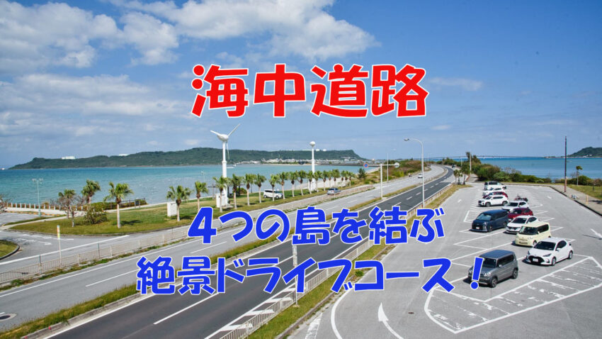 kaichu-road-ai