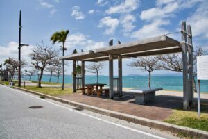 20kaichu-road-beach