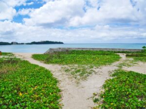 20nagoshimin-beach