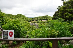 13 Sekaiisan-no-mori