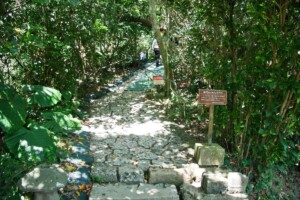 40-kudakajima-ujoguchi