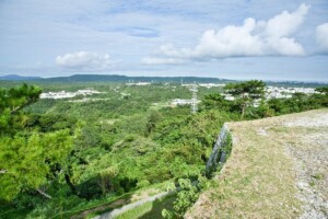 41kaku_1_topview