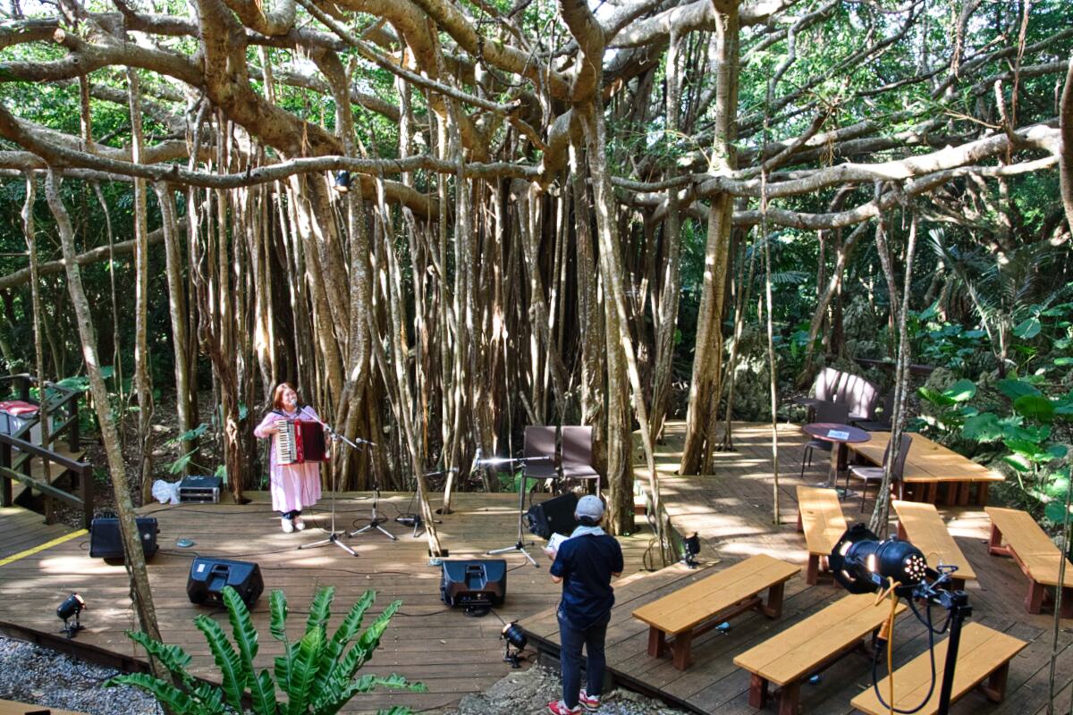 40tour_gajumaru