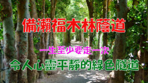 bise-fukugi-ai