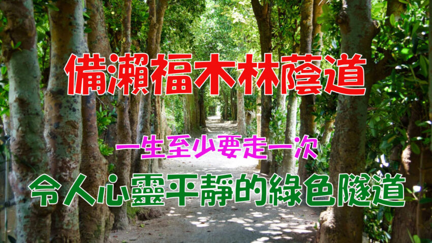 bise-fukugi-ai