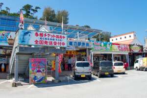 michinoeki-kyoda-ai