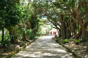 30mausoleum-entrance