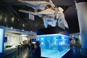50-1F-Deepsea
