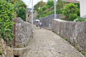 10ishidatami-main