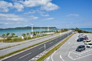 kaichu-road-ai